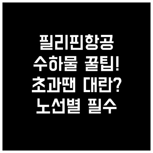 필리핀항공 위탁수하물 노선별 허용량과..