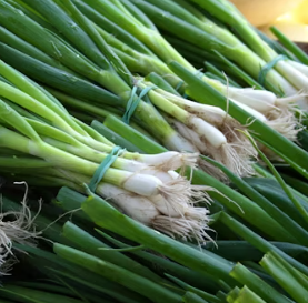 대파 효능과 부작용 고르는법