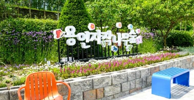 용인 가볼만한곳 베스트 10