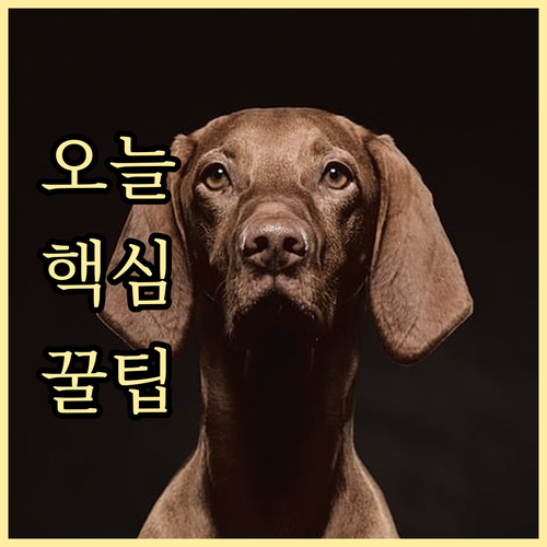 세종시 차상위계층 지원: 놓치지 마세..