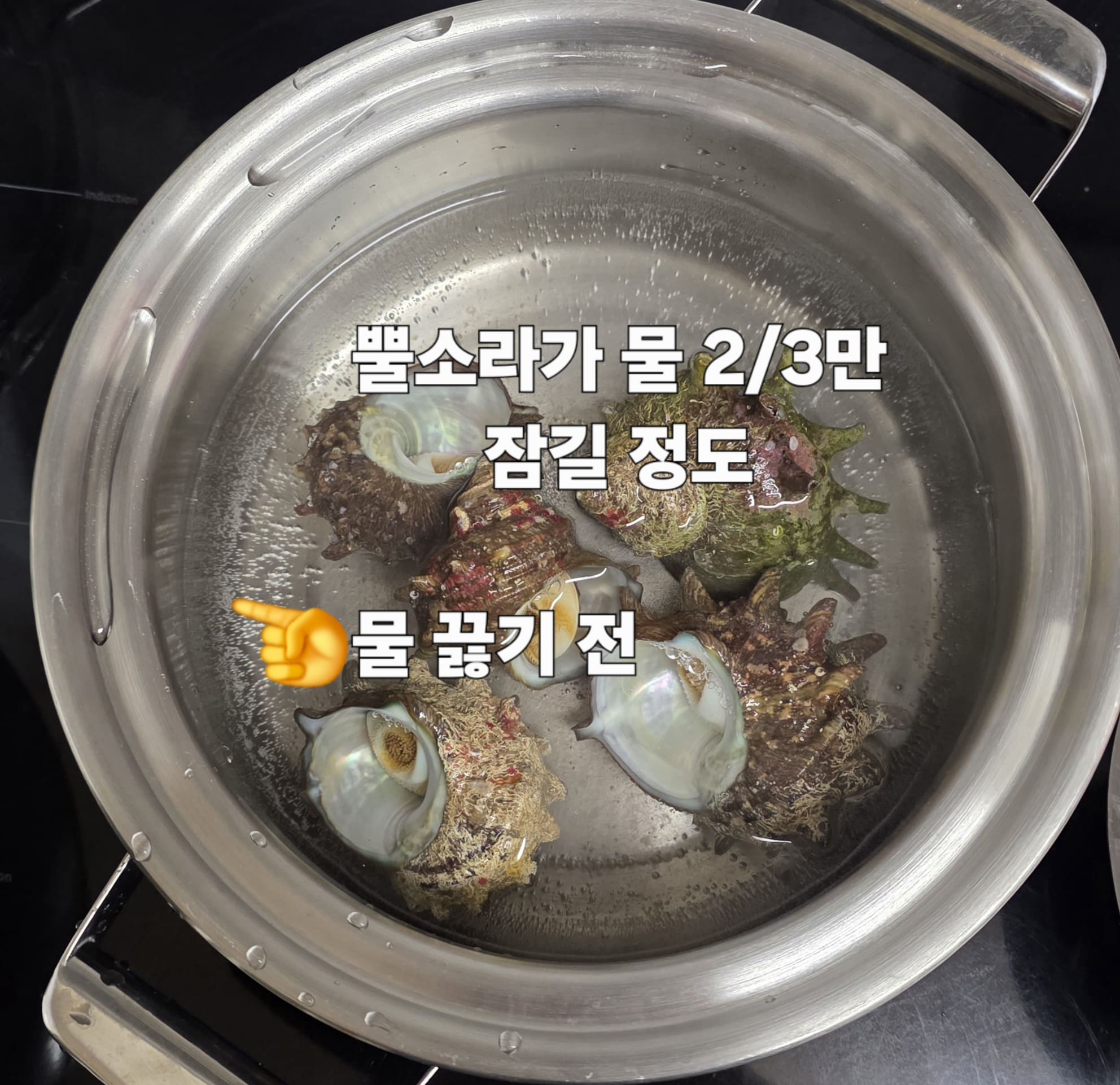 뿔소라-삶는법-안내-따라서,-지금은-뿔소라를-흐르는-물에-가볍게-헹굽니다.-여기서-중요한-점은-냄비에-깨끗한-물을-받아-끓기-전에-뿔소라를-넣고-삶는-시간만은-꼭-지켜주세요.-물은-뿔소라가-3분의-2-정도-잠기면-충분합니다.-물이-끓어오르려-할-때-뿔소라를-넣고-뚜껑을-열어둔-채-삶습니다.