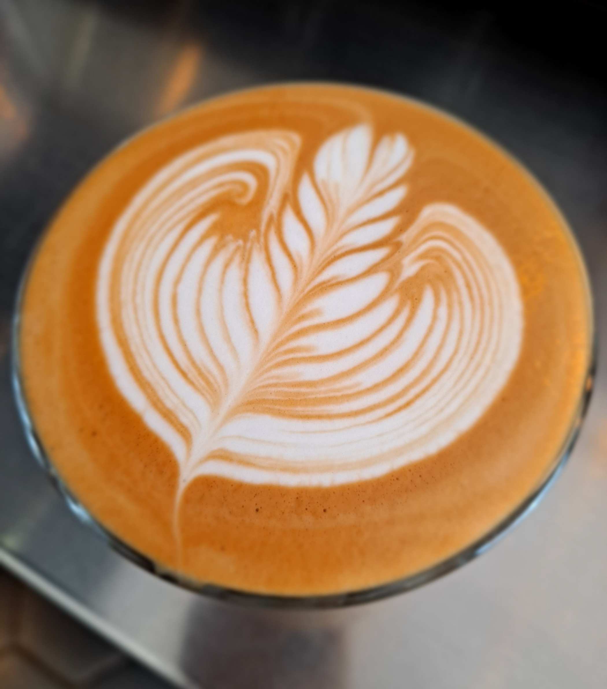 뻔fun아트 로제타 두번째