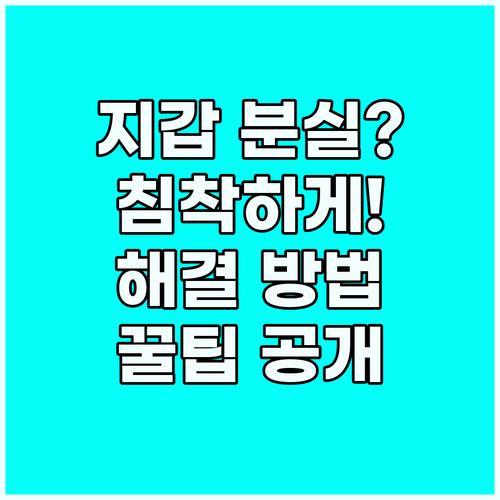 해외여행 지갑 분실, 당황하지 않고 ..