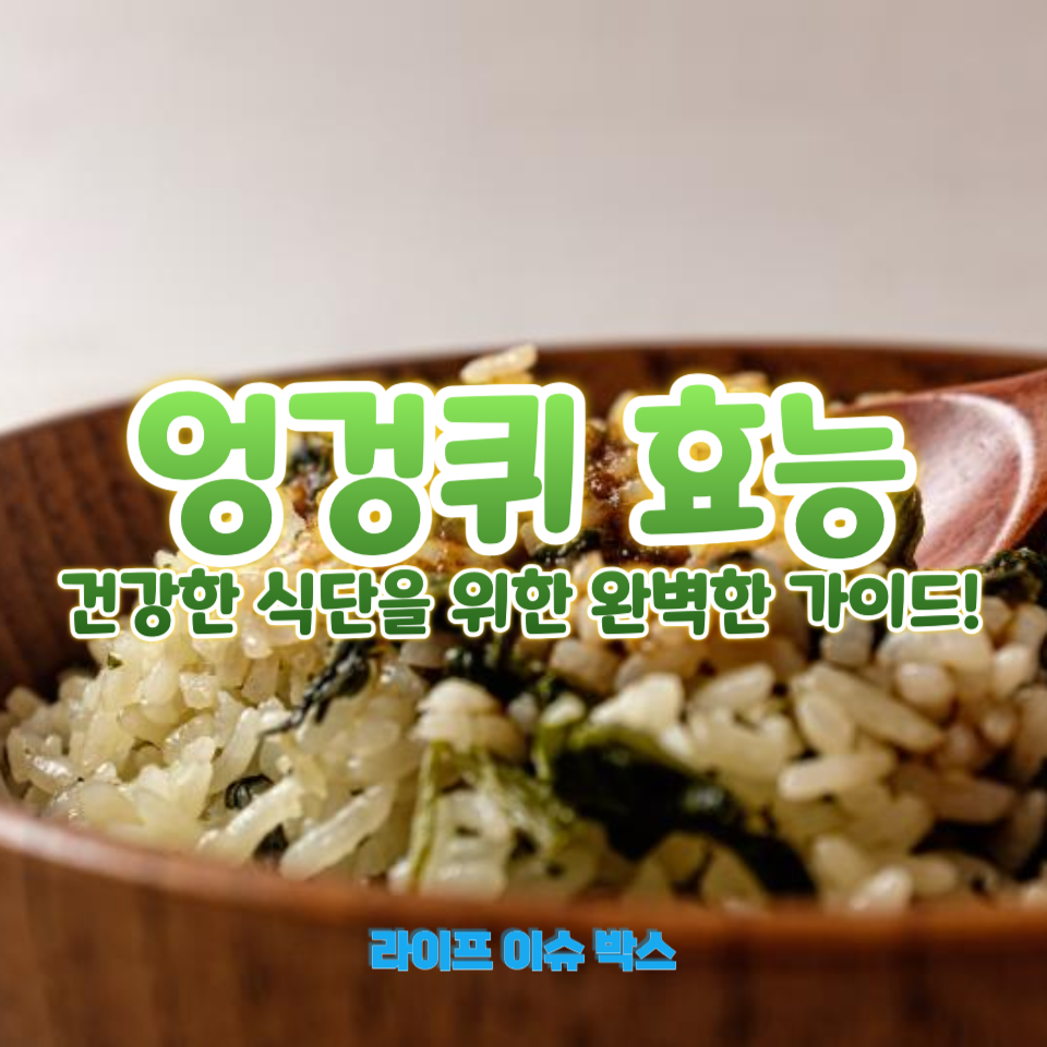 엉겅퀴 효능