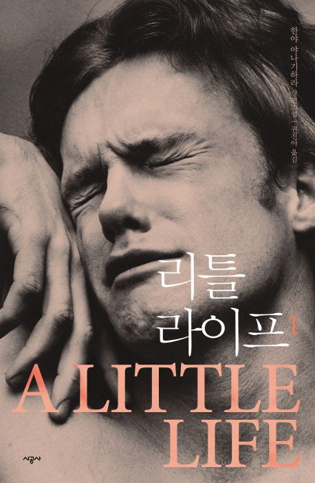 소설 리틀 라이프 (A Little Life) 줄거리와 결말 정리