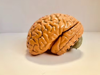 치매 초기증상 8가지 