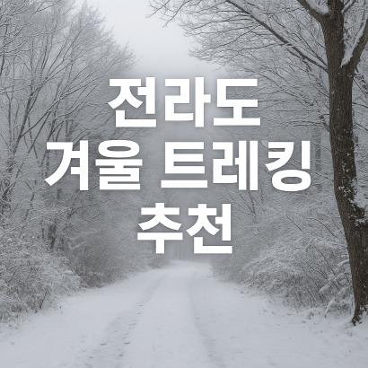 전라도 겨울 트레킹 명소 BEST 5, 남도에서 만나는 고요한 숲길 여행
