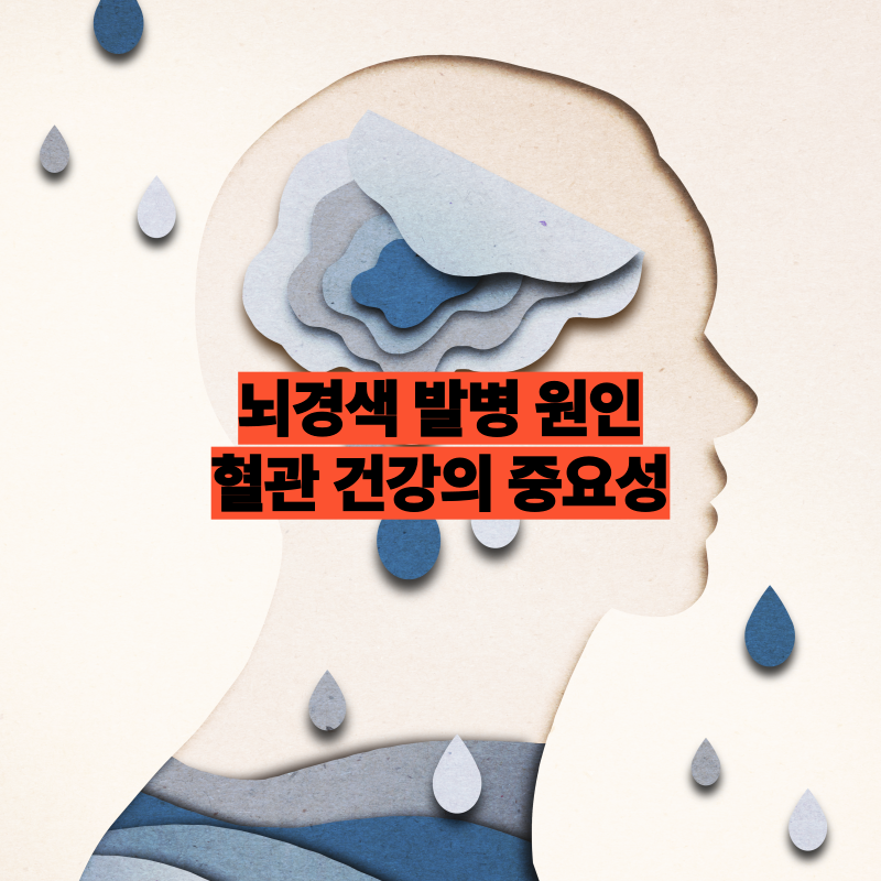 뇌경색 발병 원인과 메커니즘, 혈관 건강의 중요성