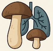 송이버섯 효능