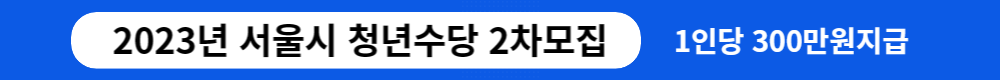 서울시 청년수당