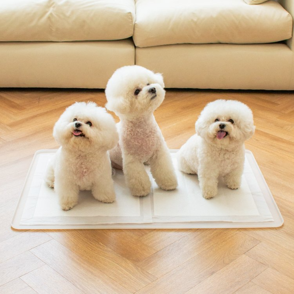 강아지 배변 패드