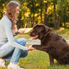 img.jpg?credential=yqXZFxpELC7KVnFOS48ylbz2pIh7yKj8&expires=1753973999&allow_ip=&allow_referer=&signature=ov3UfyxiQX4wV8%2F0DEpZ8HrR5Hk%3D