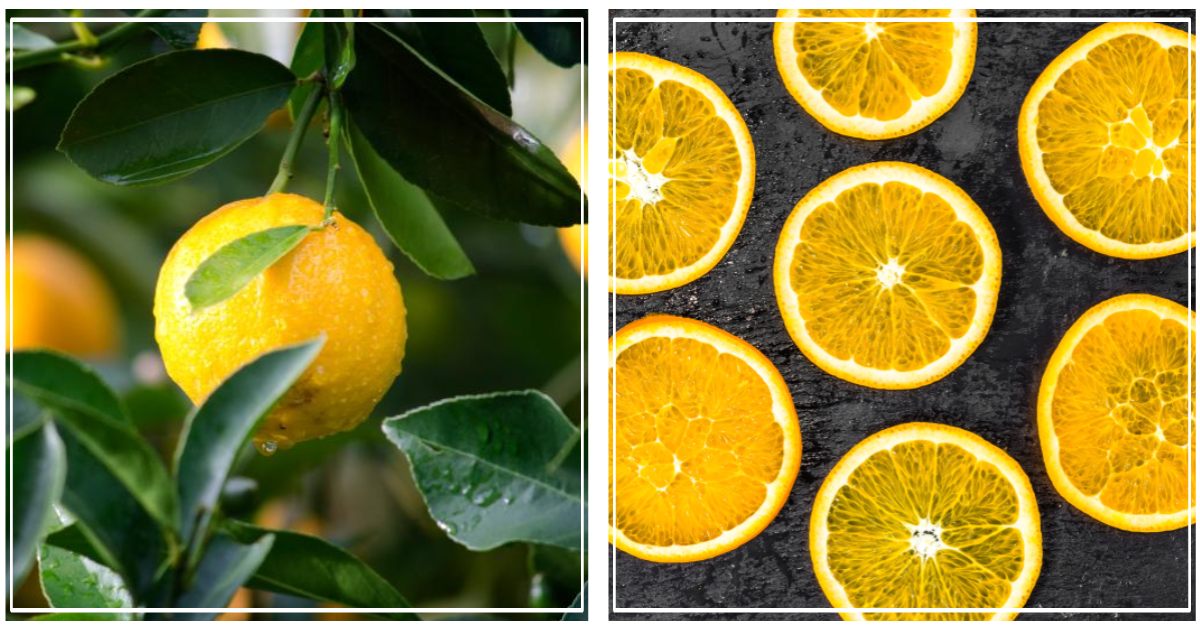 꿀+레몬 딥클렌징 팩 효과적으로 사용하는 방법