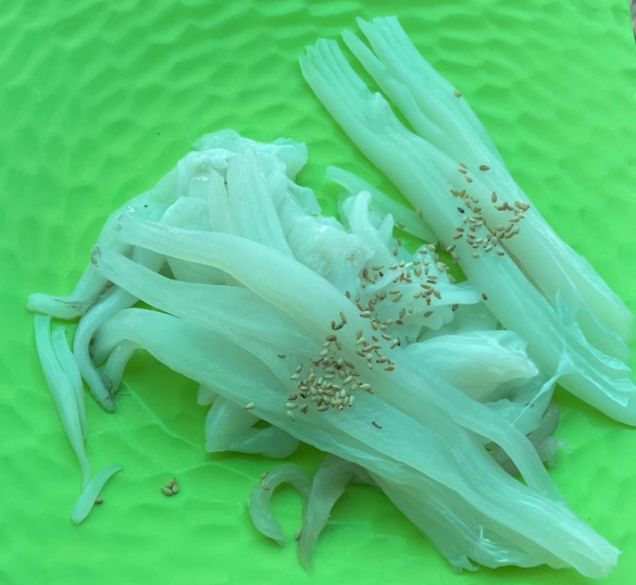 한국기행 고흥 무한리필 횟집 1인 35000원 무제한 자연산 회오마카세 맛있으니섬이다