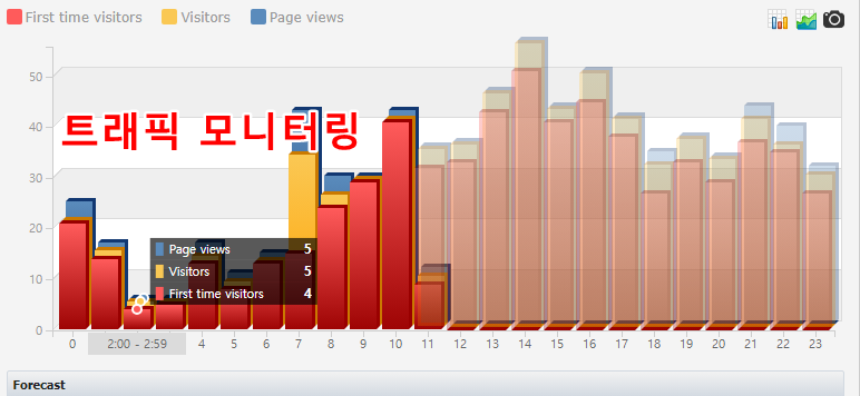 방문자 추이