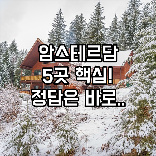 암스테르담 호텔 5곳 완벽 비교 여행..