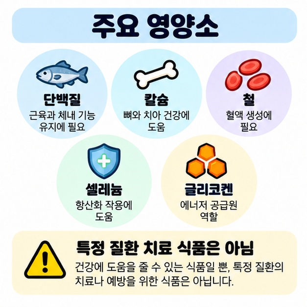 미더덕의 주요 영양소인 단백질, 칼슘, 철, 셀레늄, 글리코겐을 정리한 카드