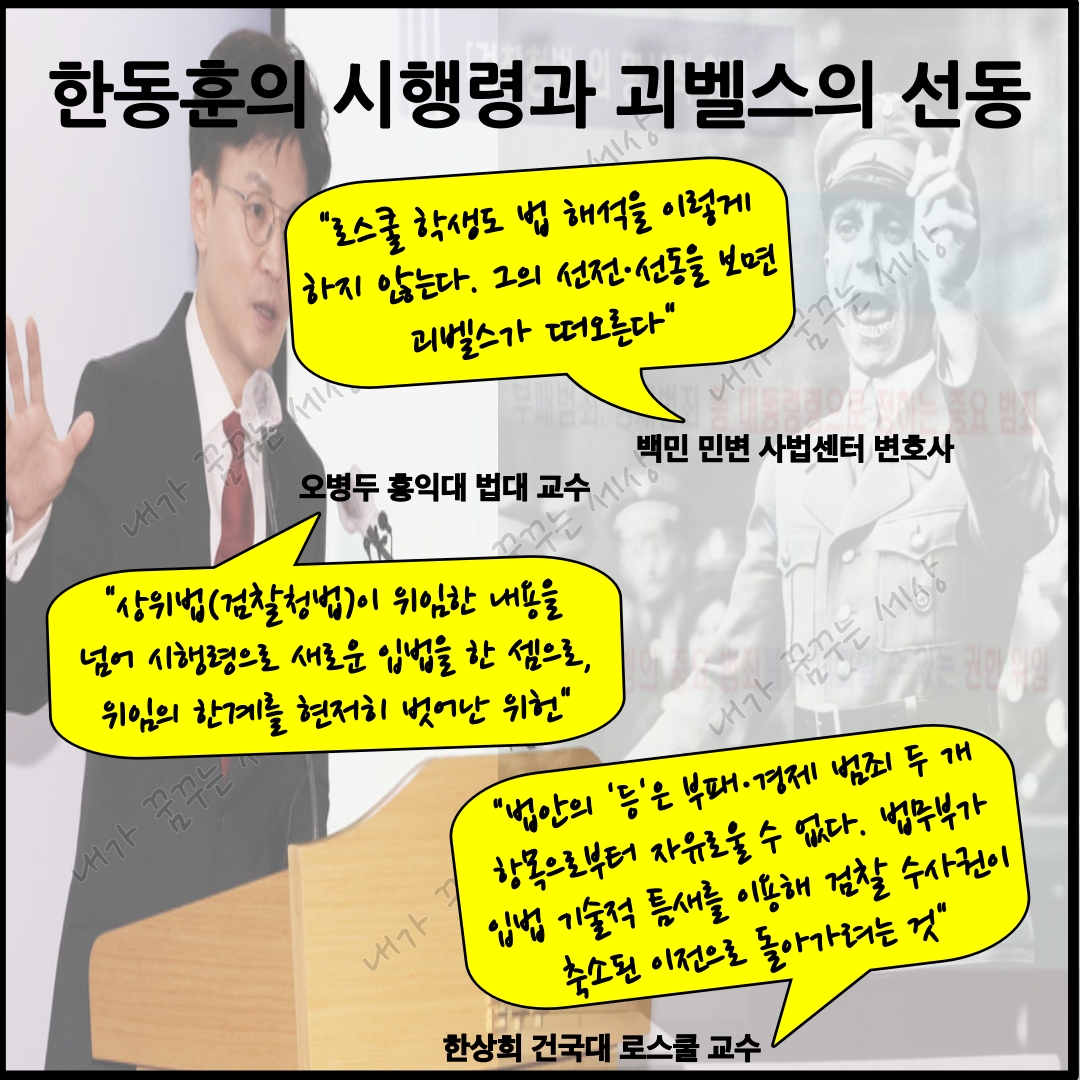 한동훈의 시행령과 괴벨스의 선동