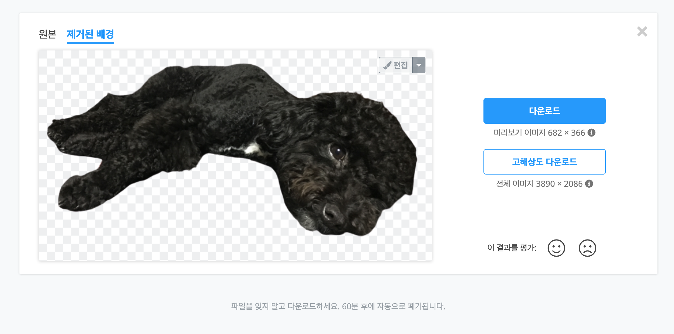 배경과 색상이 비슷한 사진 배경 제거
