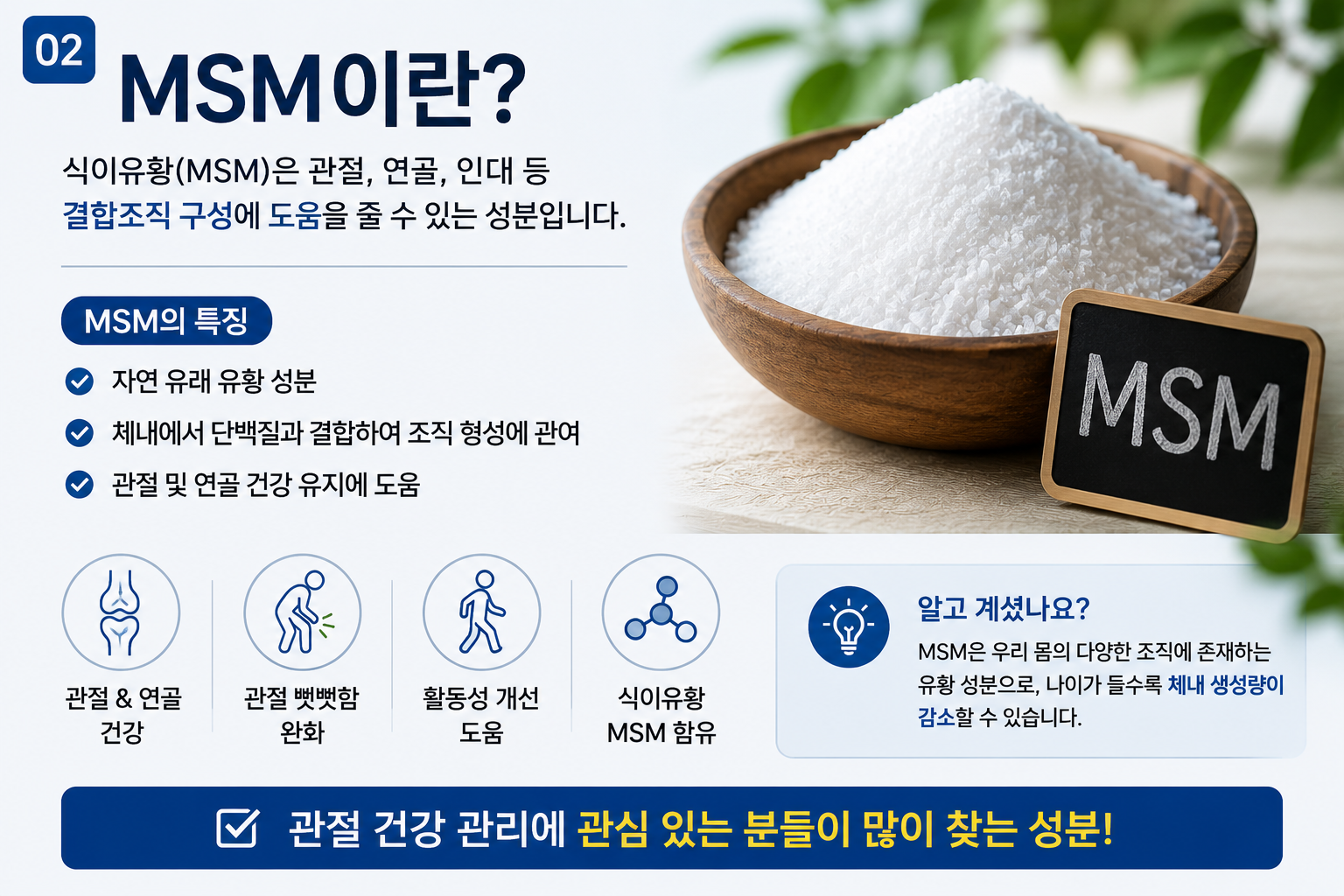 MSM의 특징