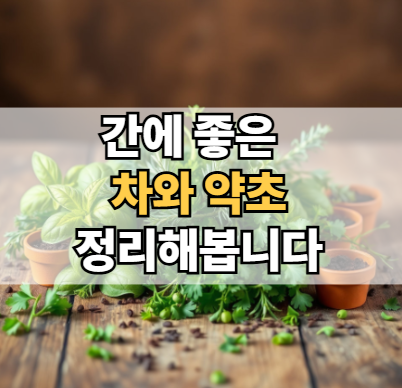 간에-좋은-차-간에-좋은-약초