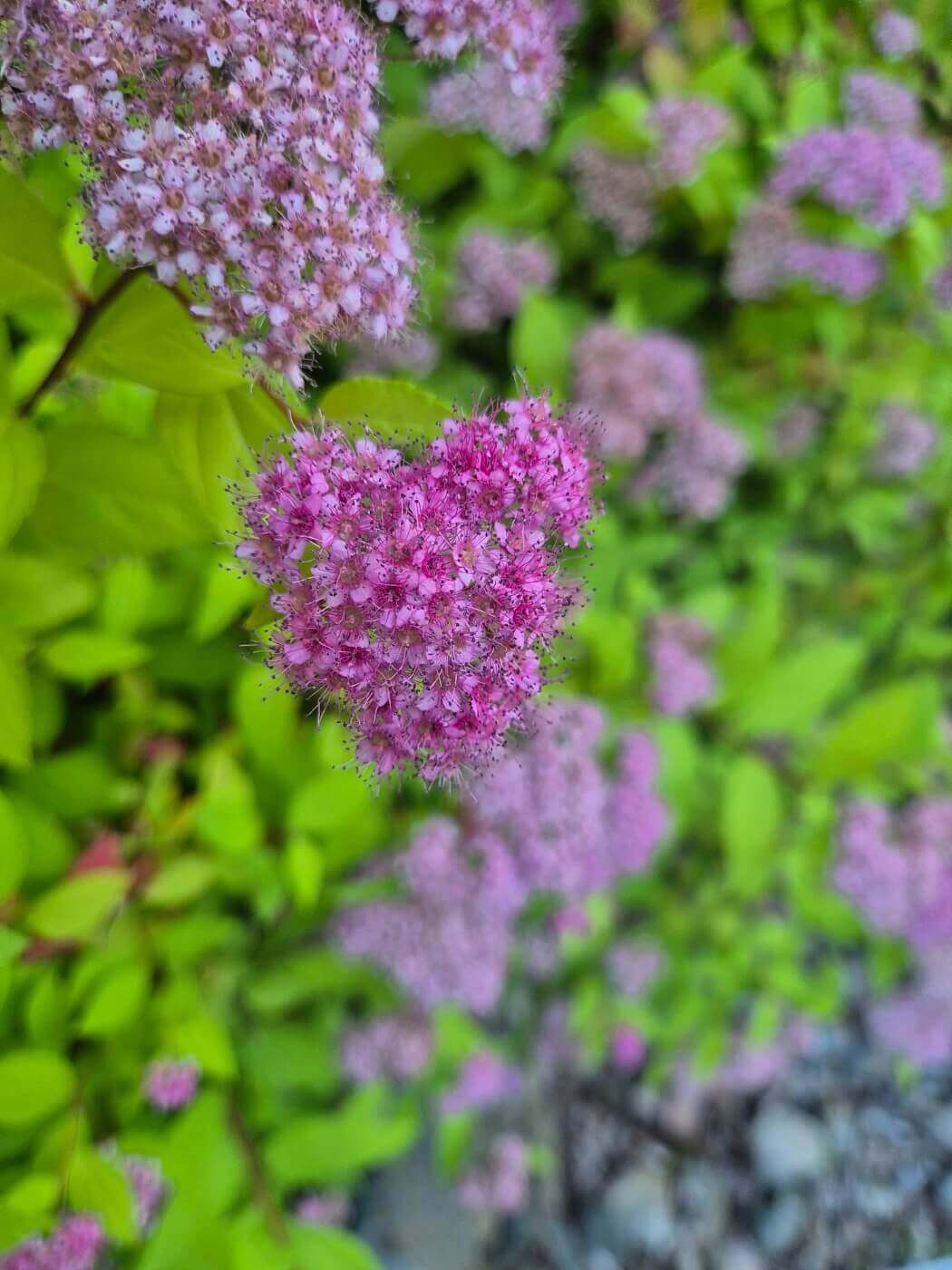 사랑 명언 모음 좋은 인연 