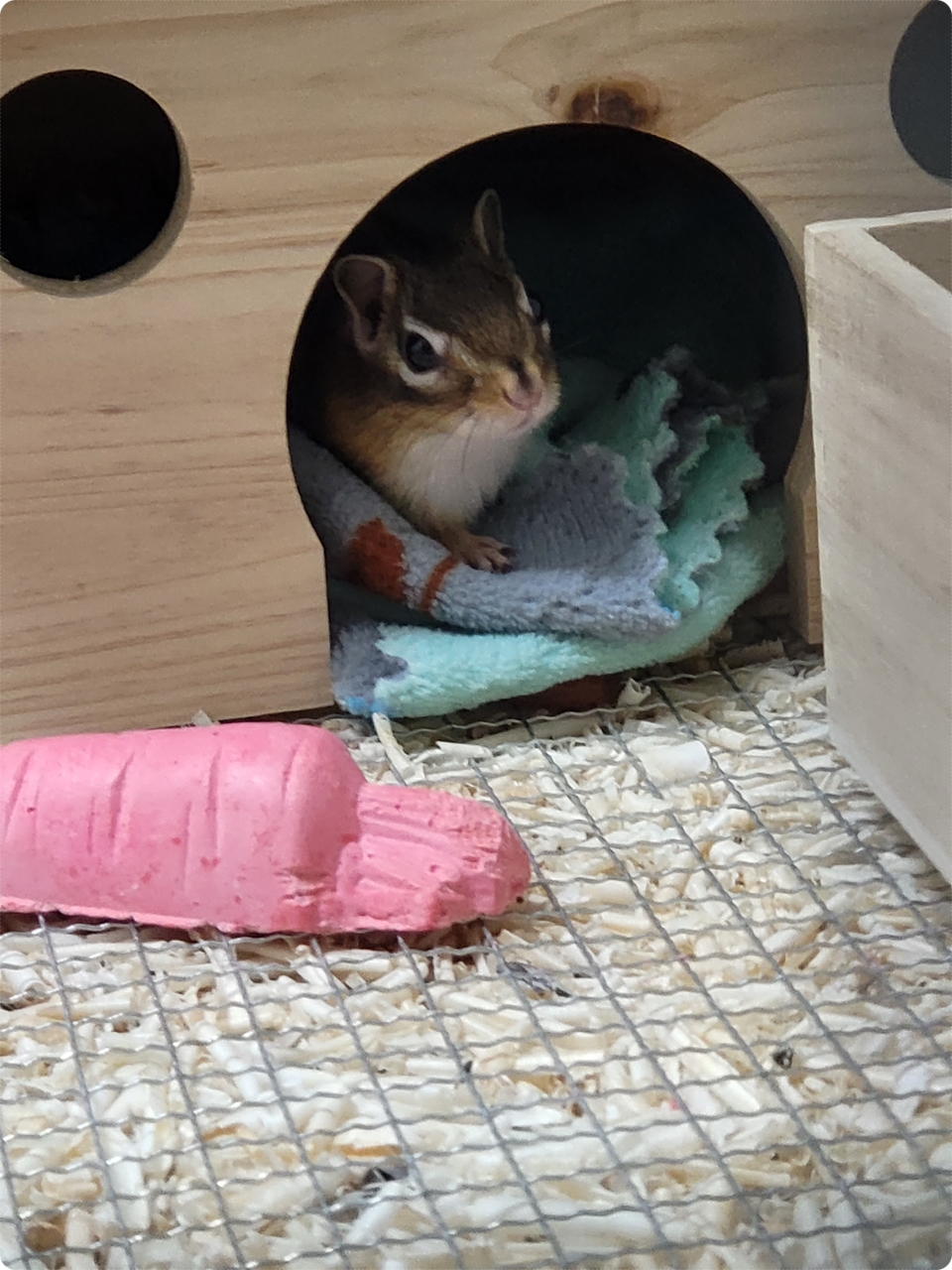 와~ 너무 춥다~