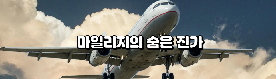 마일리지의 숨은 진가