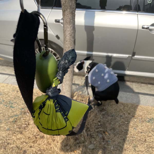 강아지가 방울달린옷을입고 똥을싸고있다