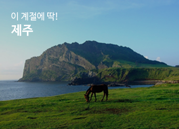 아고다 제주 할인페이지