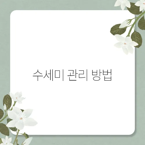 수세미 관리 방법
