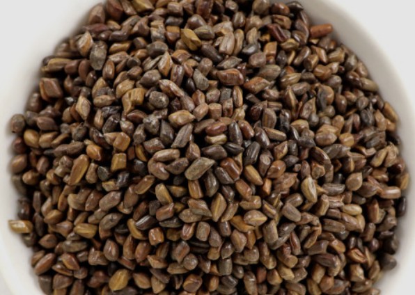 노안과 치매에 좋은 음식 완전식품 계란의 효능 효과, 같이 먹으면 좋은 석창포 효능