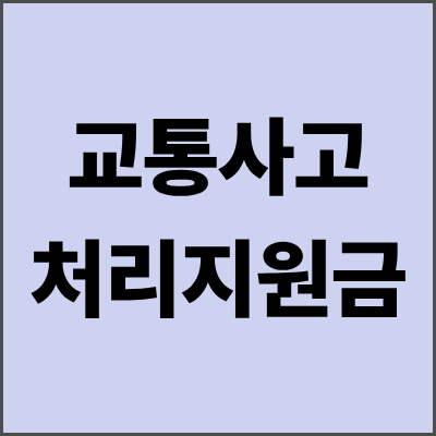 교통사고처리지원금 완벽 가이드 - 2025년 최신 정보
