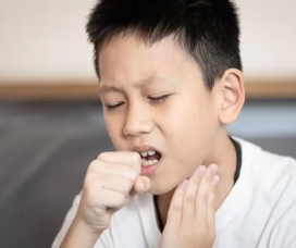 백일해 증상 및 예방접종 가격 총정리 2025