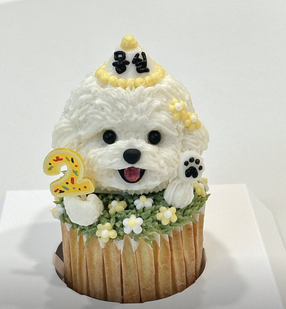 연두네놀이터 정보