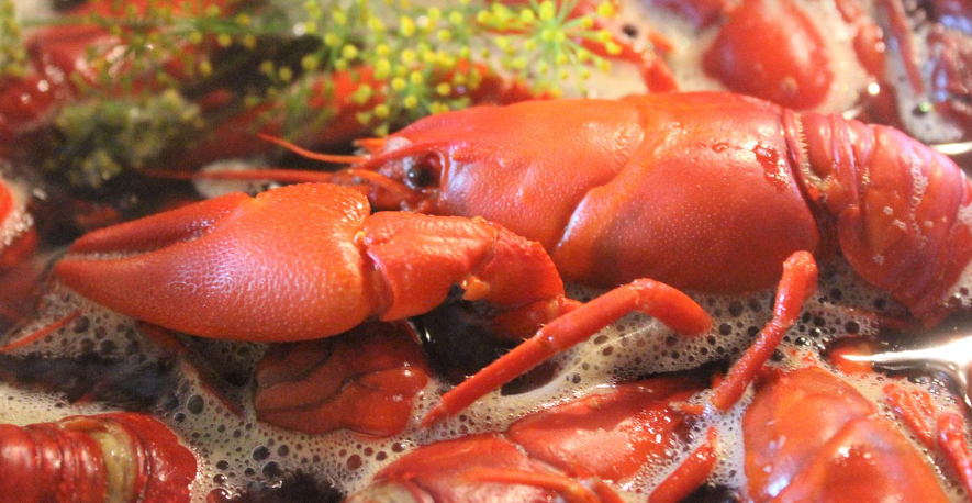 AI 셰프의 적용 사례들과 한계