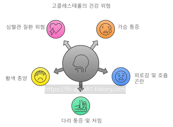 고콜레스테롤 위험