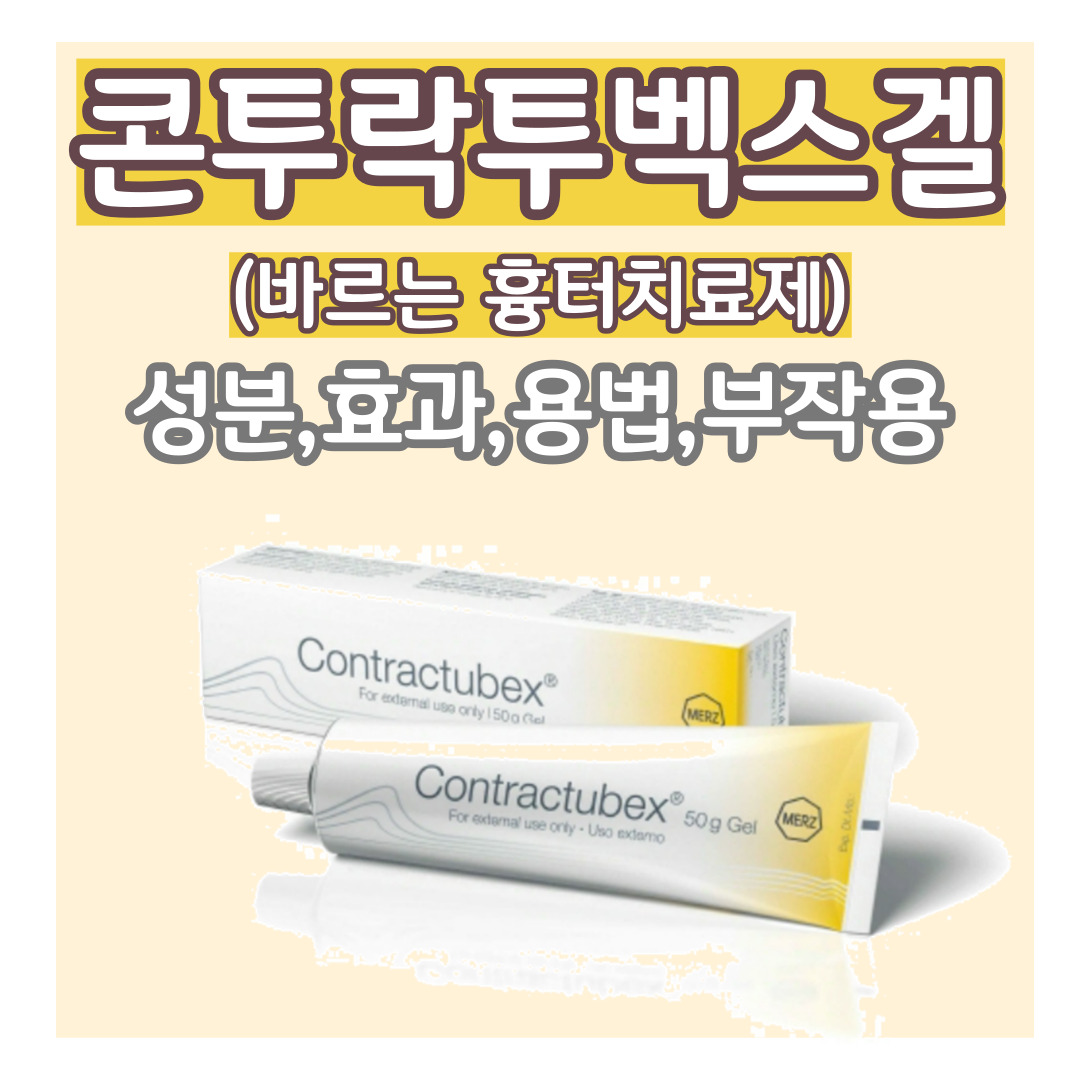 콘투락투벡스겔 블로그 썸네일 이미지