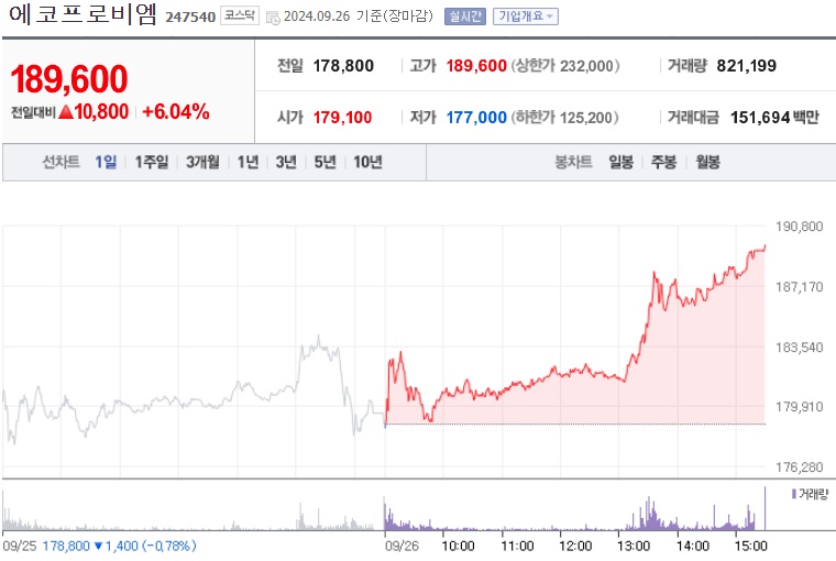 에코프로비엠 주가.jpg