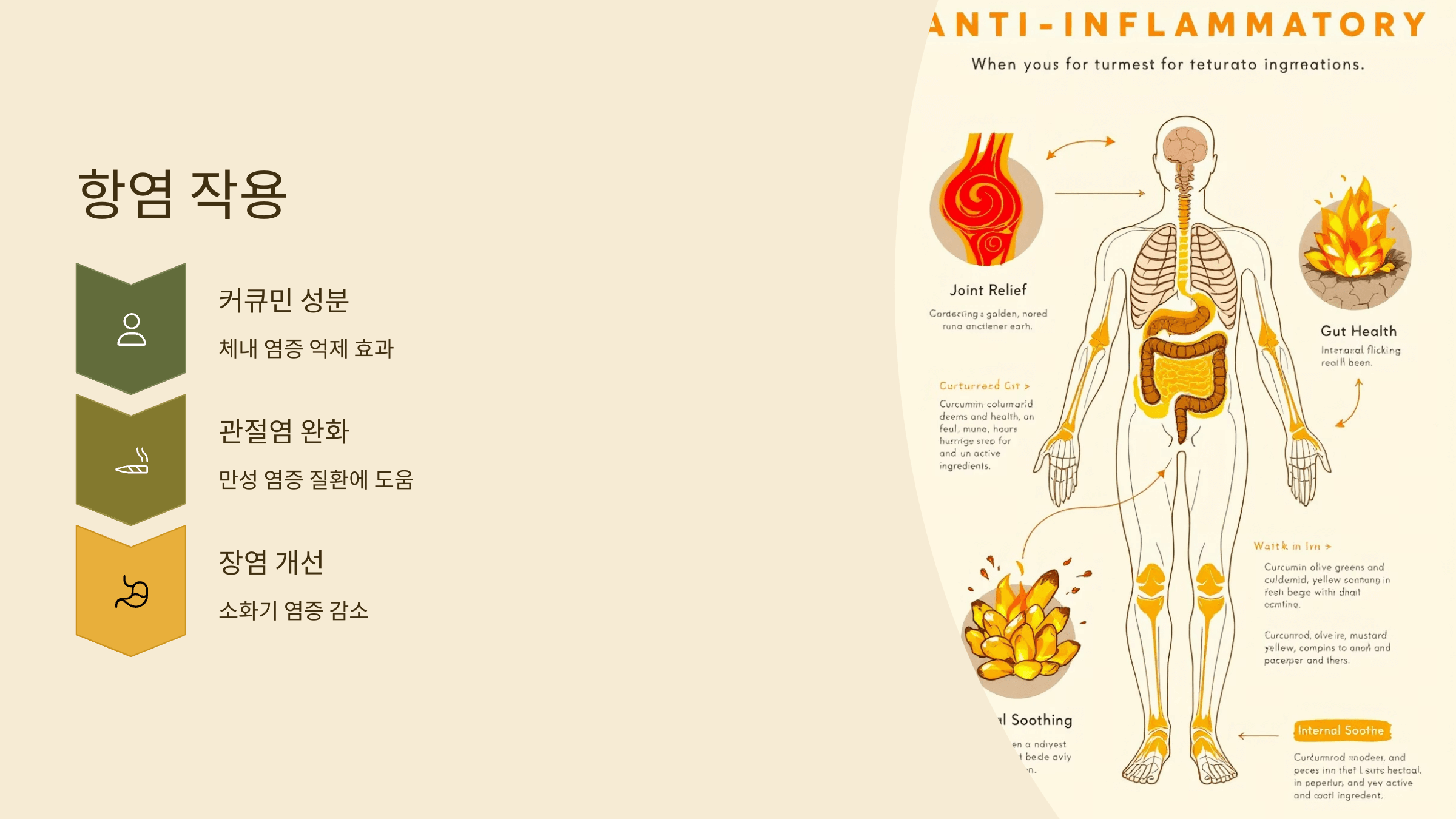 강황가루 사진입니다.
