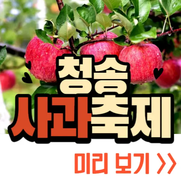 청송 사과축제