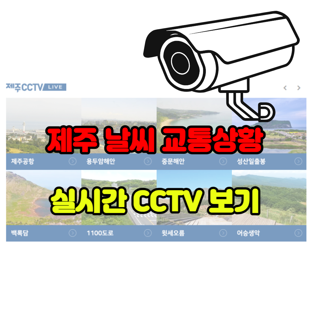 제주 날씨 실시간 교통상황 cctv