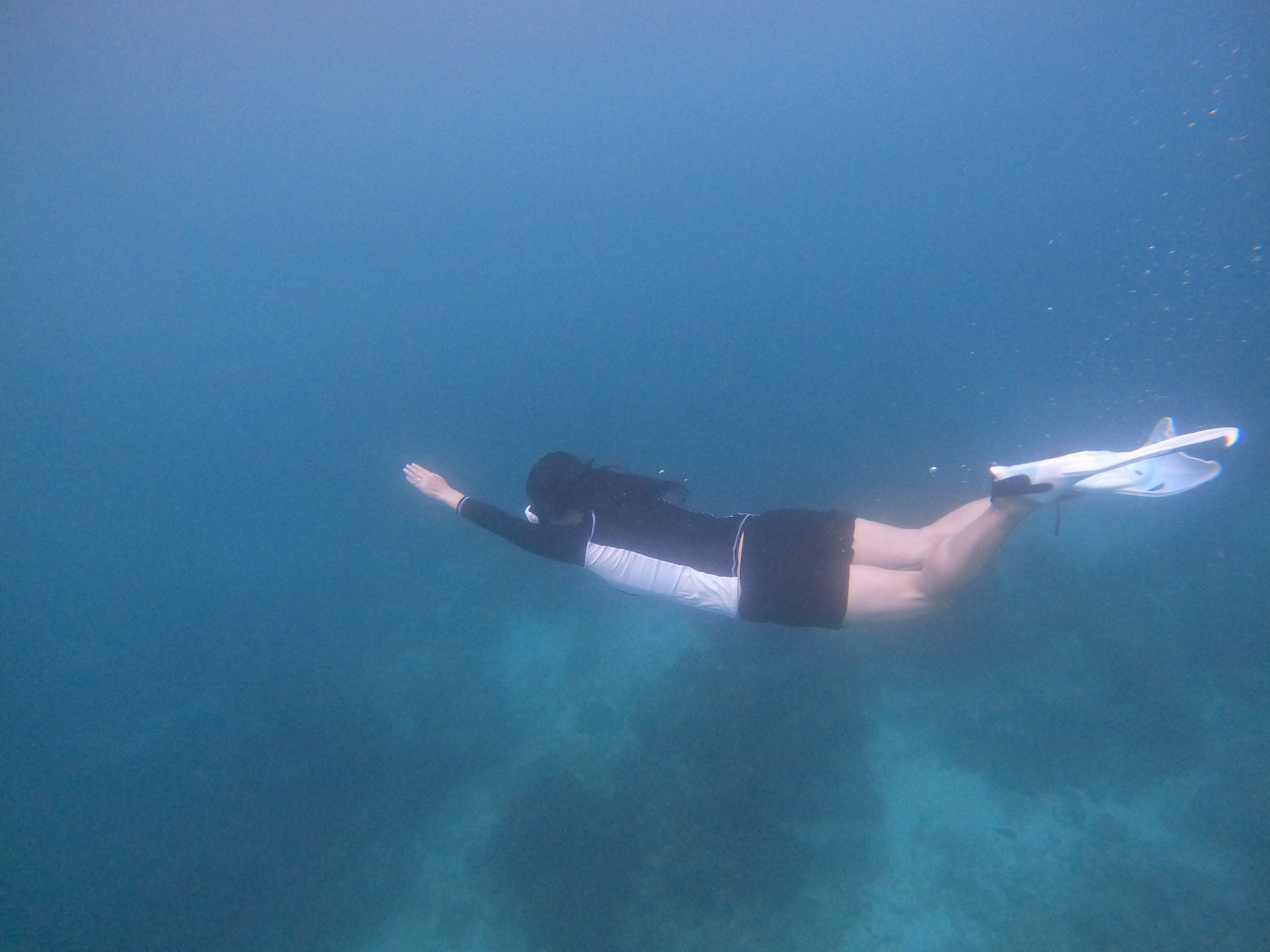 보라카이 2일차 코스 맘마미아 호핑투어 후기