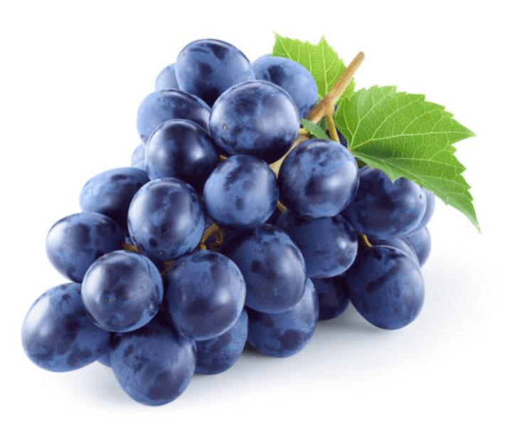 포도