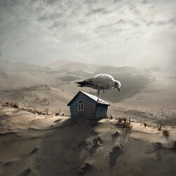 Dariusz Klimczak의 작품