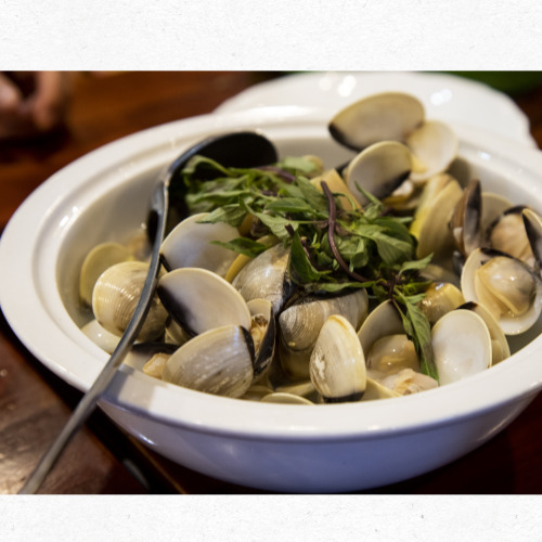 조개 요리 완성 사진 모음