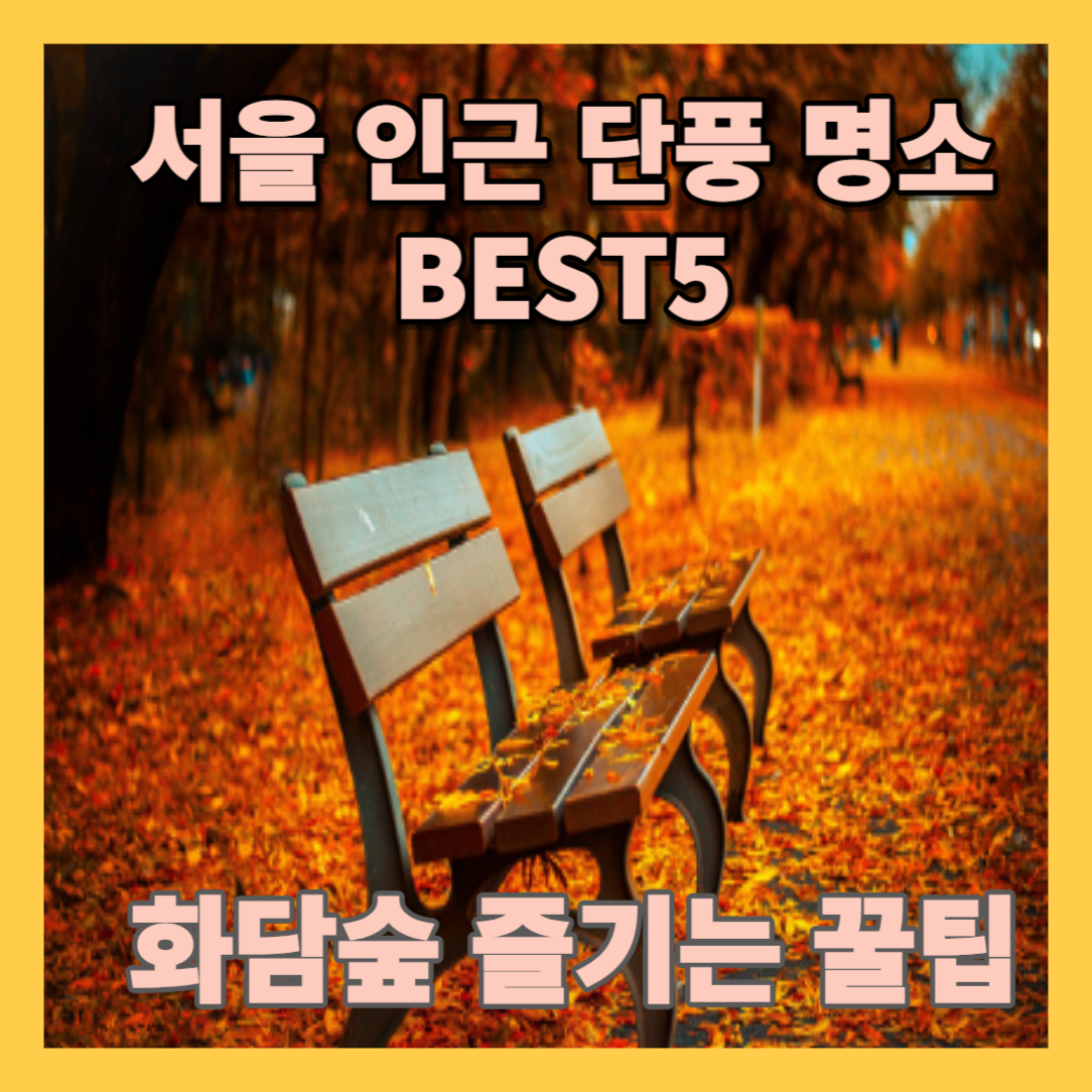 서울 근교 단풍 명소 BEST 5 , 화담숲 예약 모노레일 예약 방법