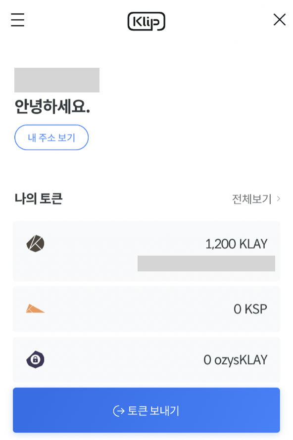 카카오톡_클립_코인_현황