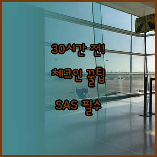 SAS 온라인 체크인 30시간 전부터..