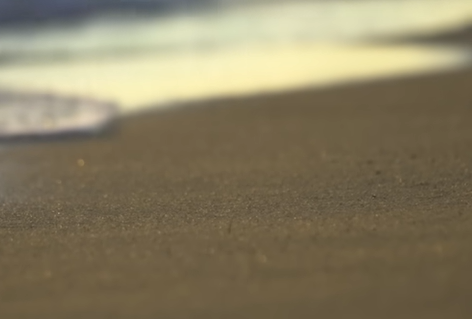 임영웅 7월 브랜드평판 톱2 기록 중